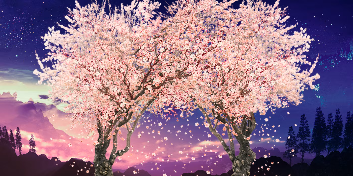 Sakura Trees